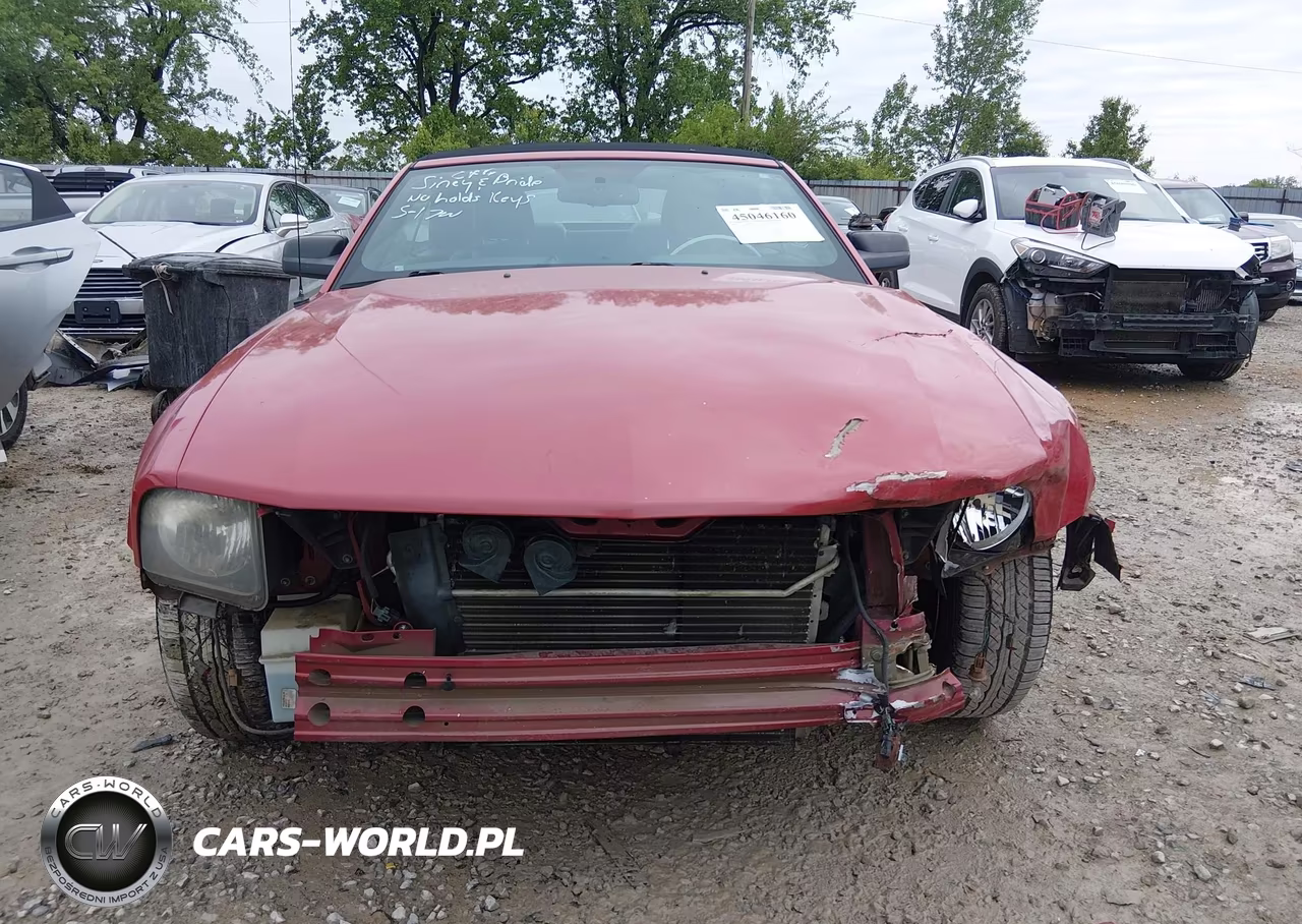2007 Ford Mustang V6 Deluxe-V6 Premium VIN:1ZVHT84N775350654 - 6