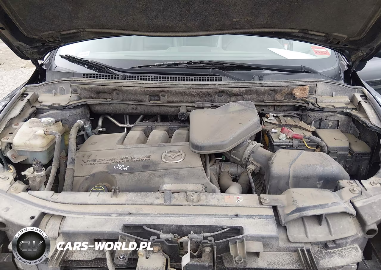 2011 Mazda Cx-9 Grand Touring VIN:JM3TB3DV3B0304092 - 10
