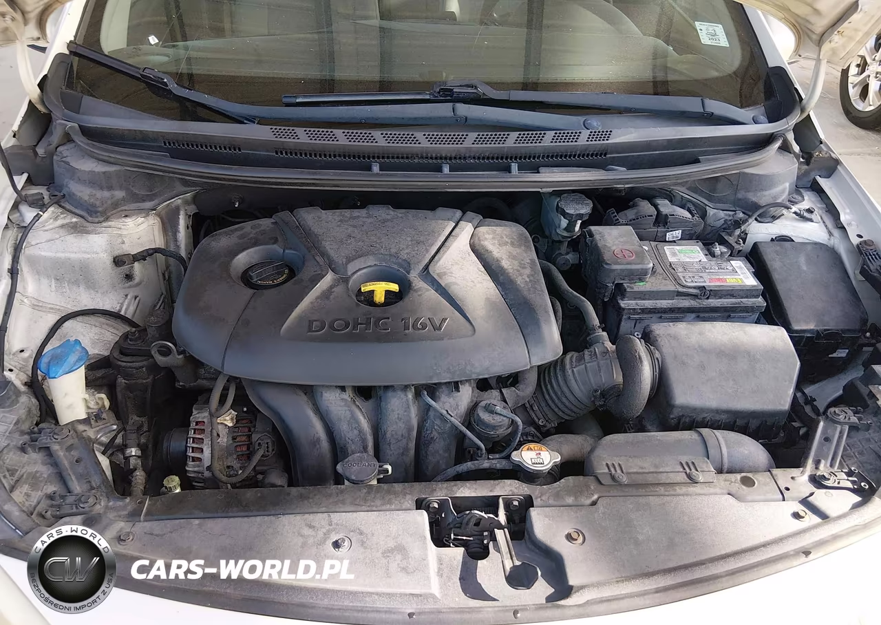 2014 Kia Forte Lx VIN:KNAFK4A69E5160450 - 10