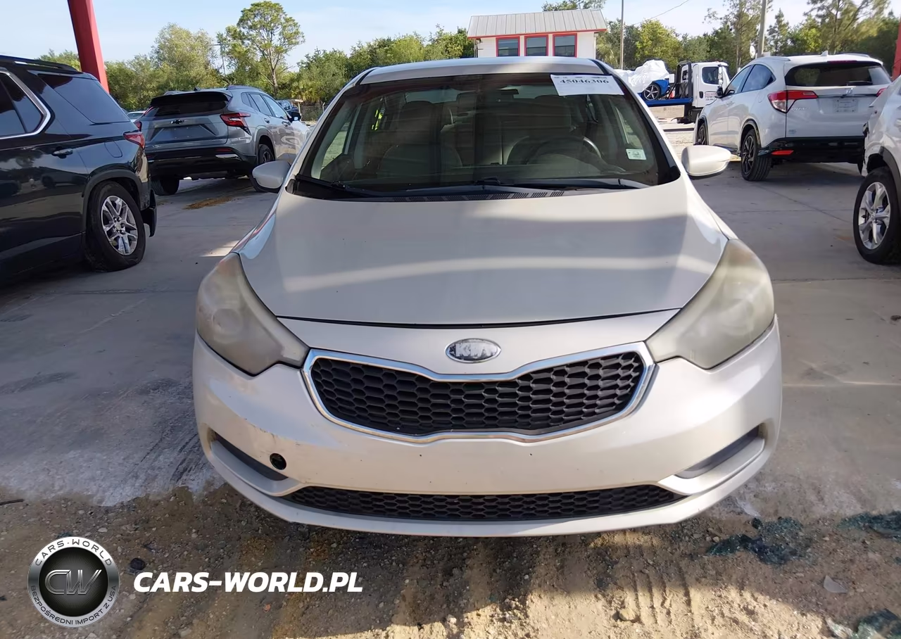 2014 Kia Forte Lx VIN:KNAFK4A69E5160450 - 12