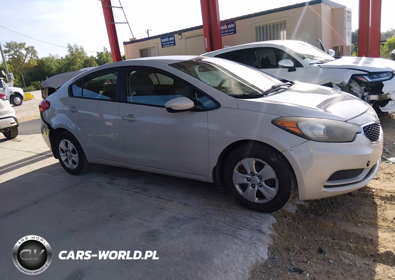 2014 Kia Forte Lx VIN:KNAFK4A69E5160450 - 13