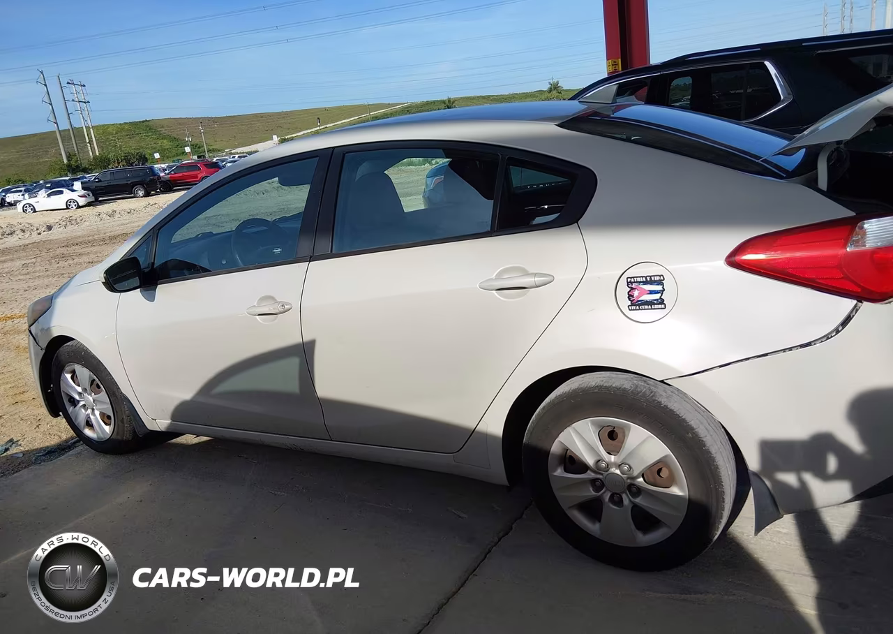 2014 Kia Forte Lx VIN:KNAFK4A69E5160450 - 14