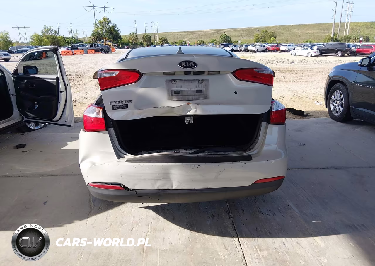 2014 Kia Forte Lx VIN:KNAFK4A69E5160450 - 16
