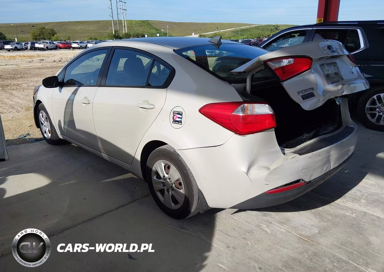 2014 Kia Forte Lx VIN:KNAFK4A69E5160450 - 3
