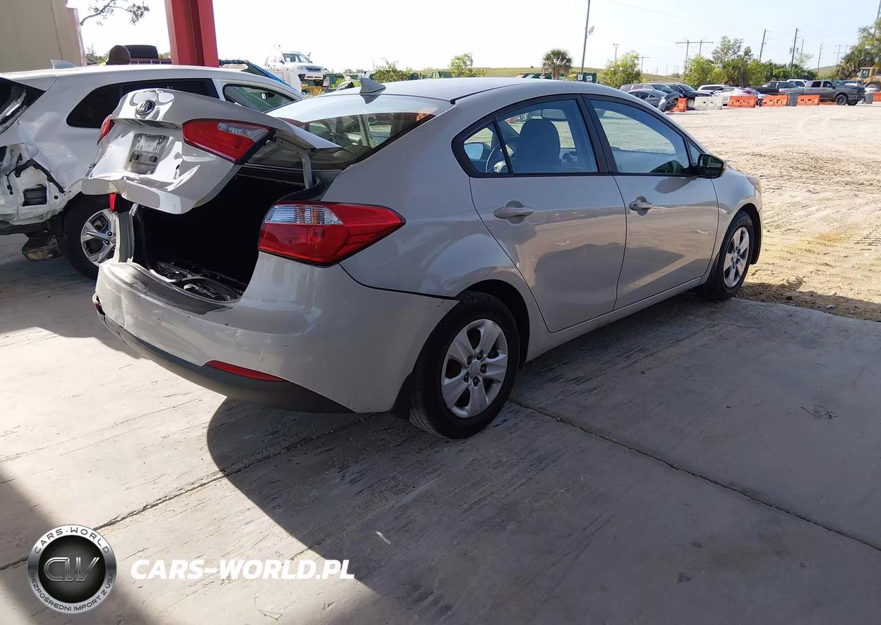 2014 Kia Forte Lx VIN:KNAFK4A69E5160450 - 4