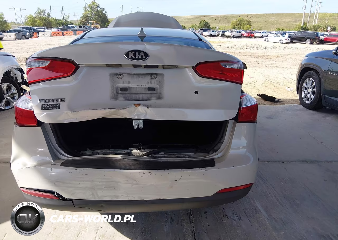 2014 Kia Forte Lx VIN:KNAFK4A69E5160450 - 6