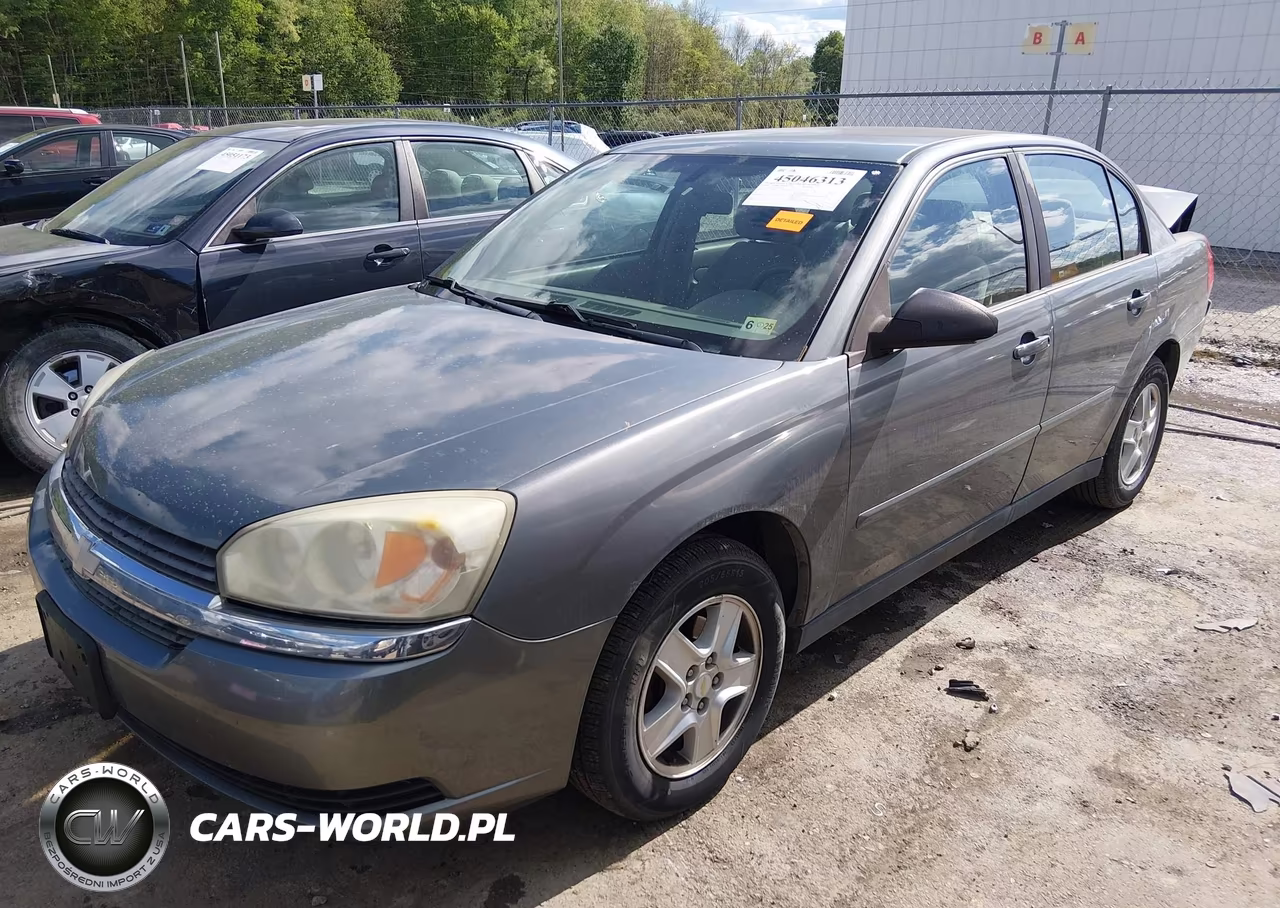 2005 Chevrolet Malibu Ls VIN:1G1ZT52855F146020 - 2