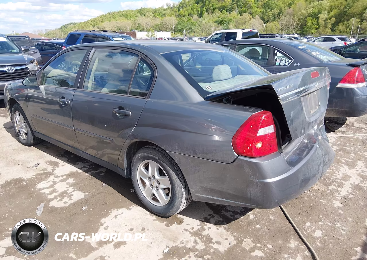 2005 Chevrolet Malibu Ls VIN:1G1ZT52855F146020 - 3