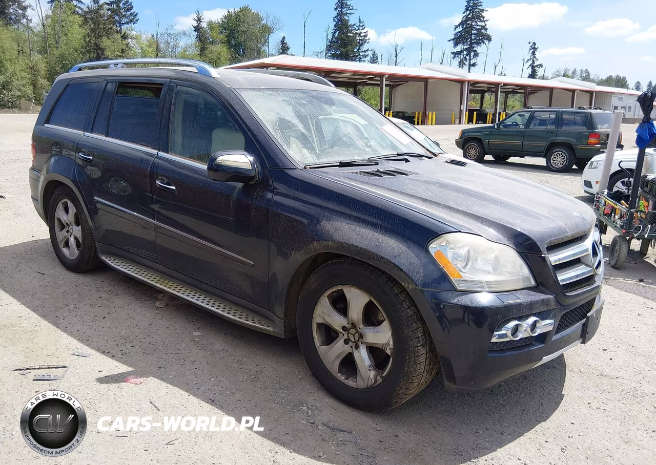2010 Mercedes-Benz Gl 450 4Matic