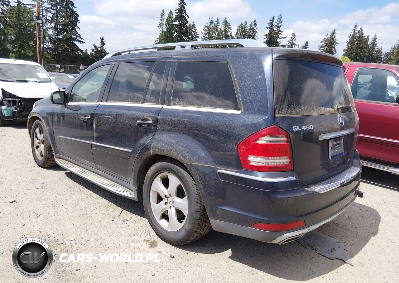 2010 Mercedes-Benz Gl 450 4Matic VIN:4JGBF7BE7AA538405 - 3