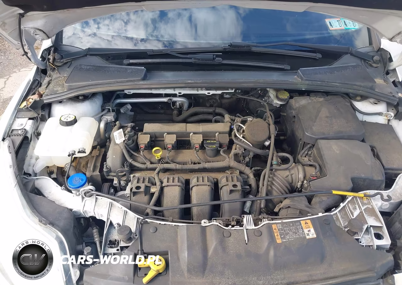 2014 Ford Focus Se VIN:1FADP3F28EL366596 - 10