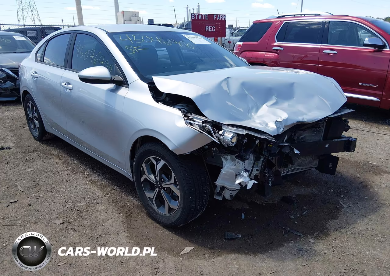 2019 Kia Forte Lxs