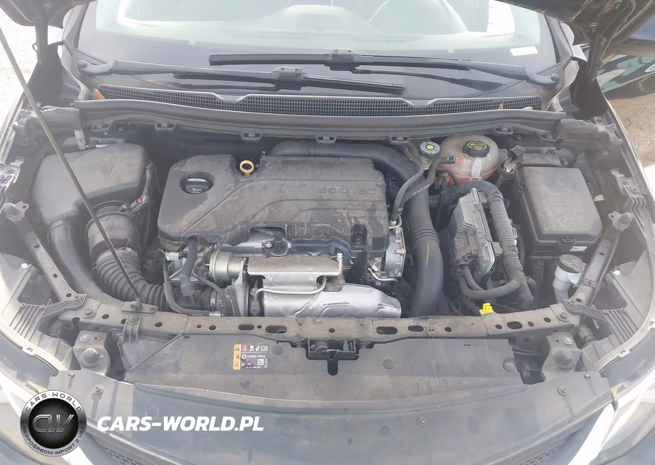 2019 Chevrolet Cruze Lt VIN:1G1BE5SM4K7115808 - 10
