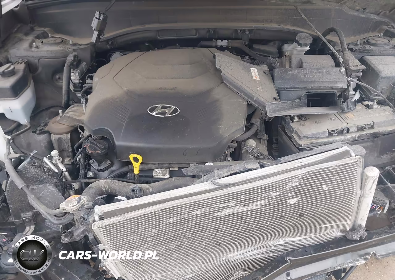 2020 Hyundai Palisade Sel VIN:KM8R3DHE0LU096159 - 10