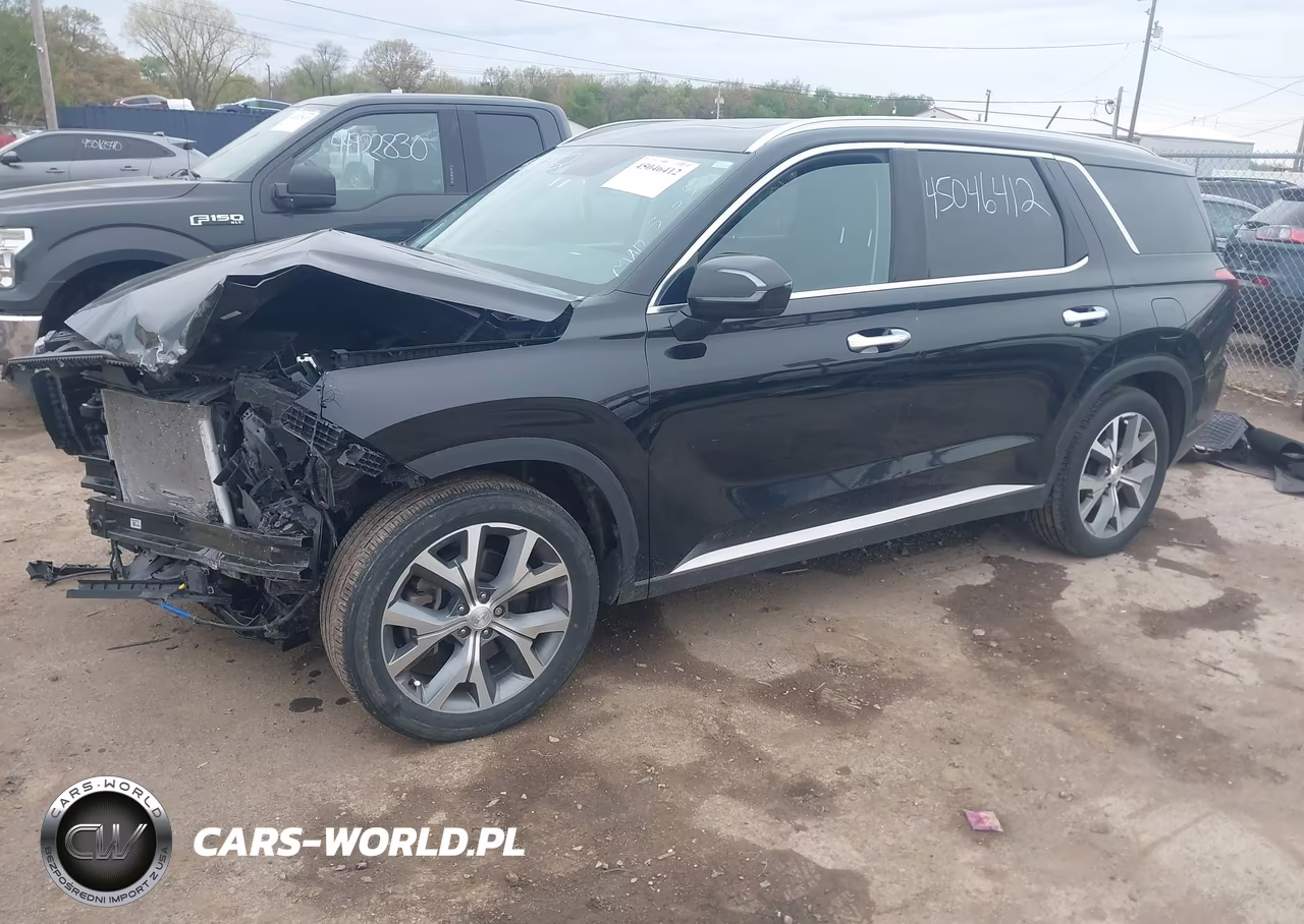 2020 Hyundai Palisade Sel VIN:KM8R3DHE0LU096159 - 2