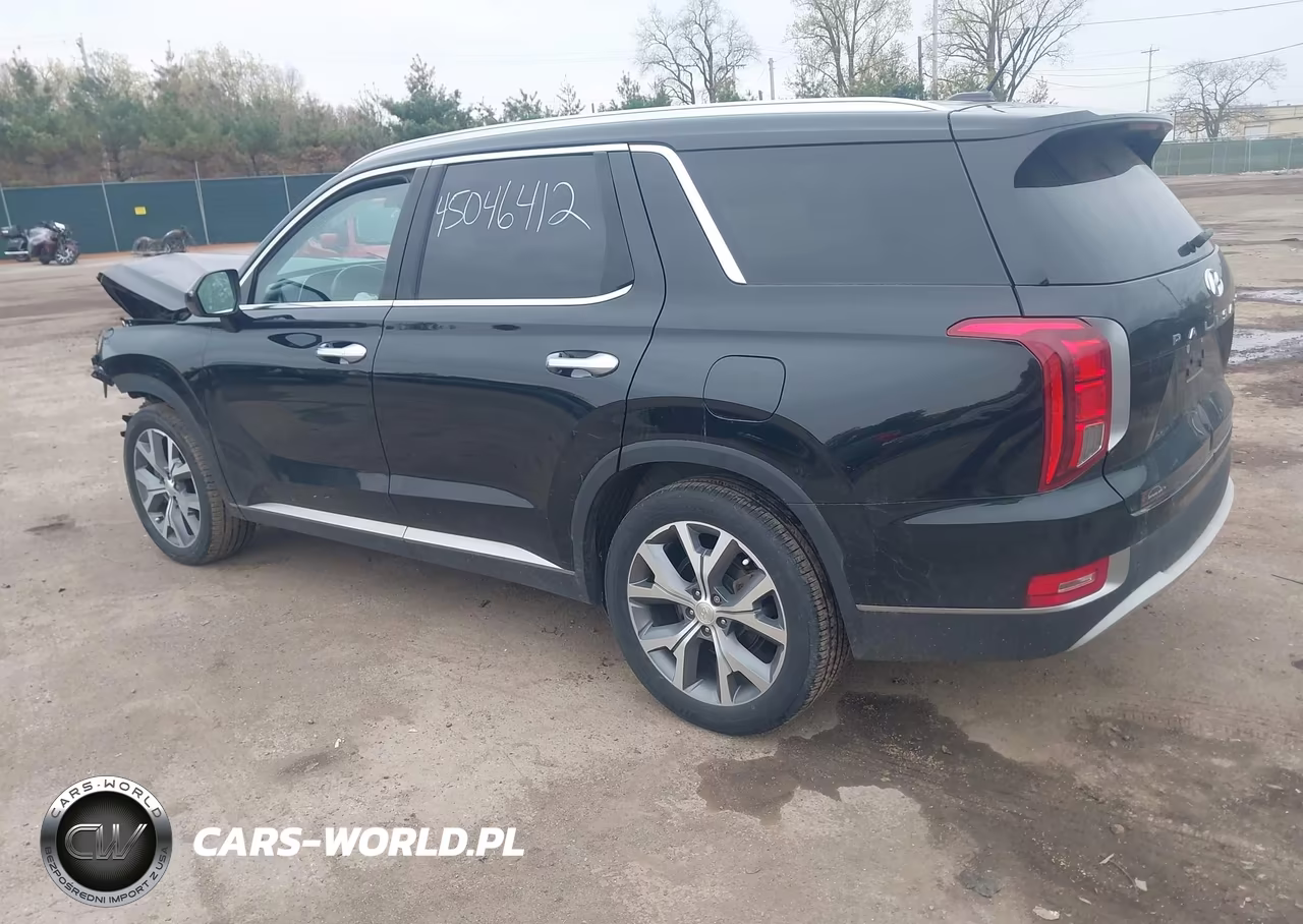 2020 Hyundai Palisade Sel VIN:KM8R3DHE0LU096159 - 3