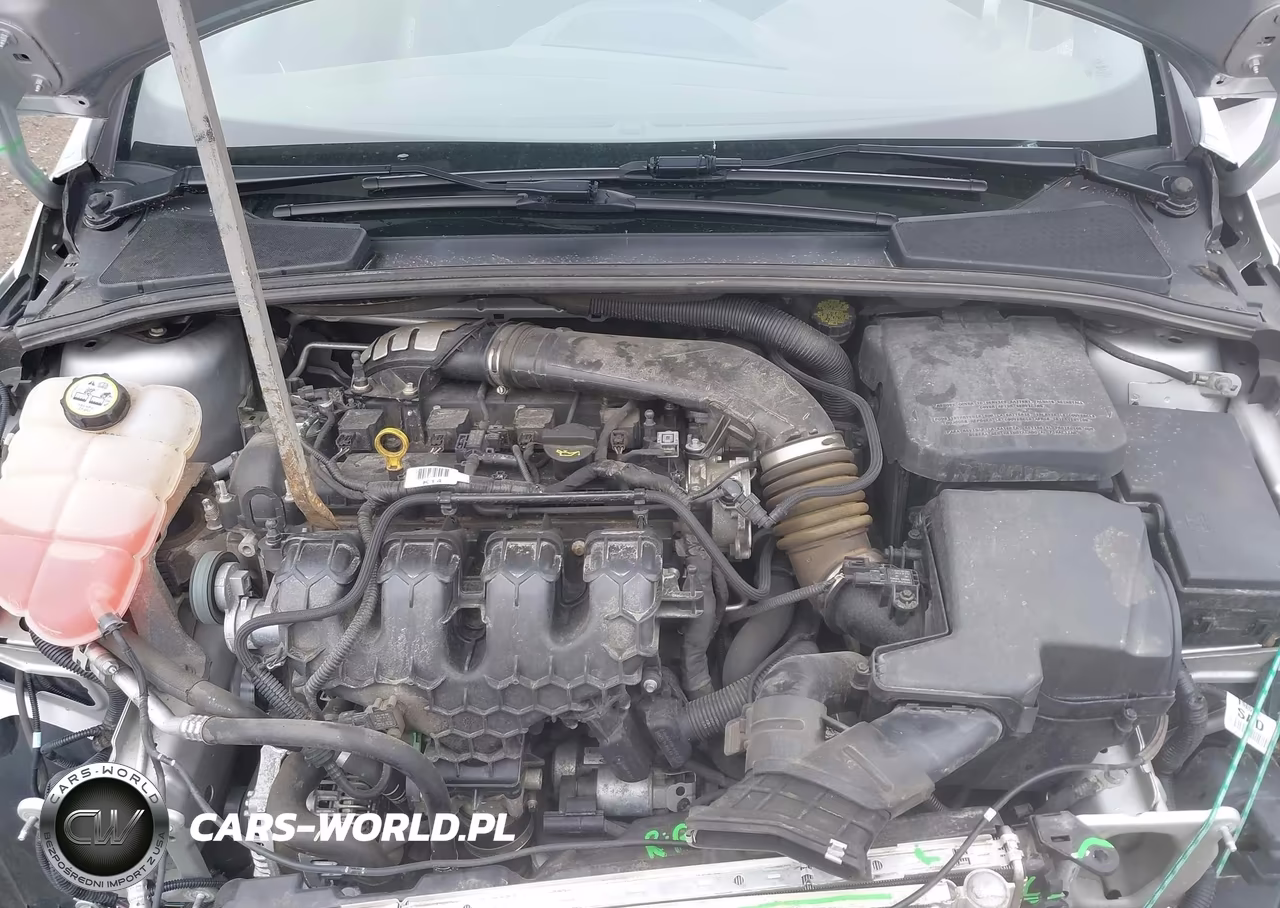 2013 Ford Focus St VIN:1FADP3L9XDL250526 - 10