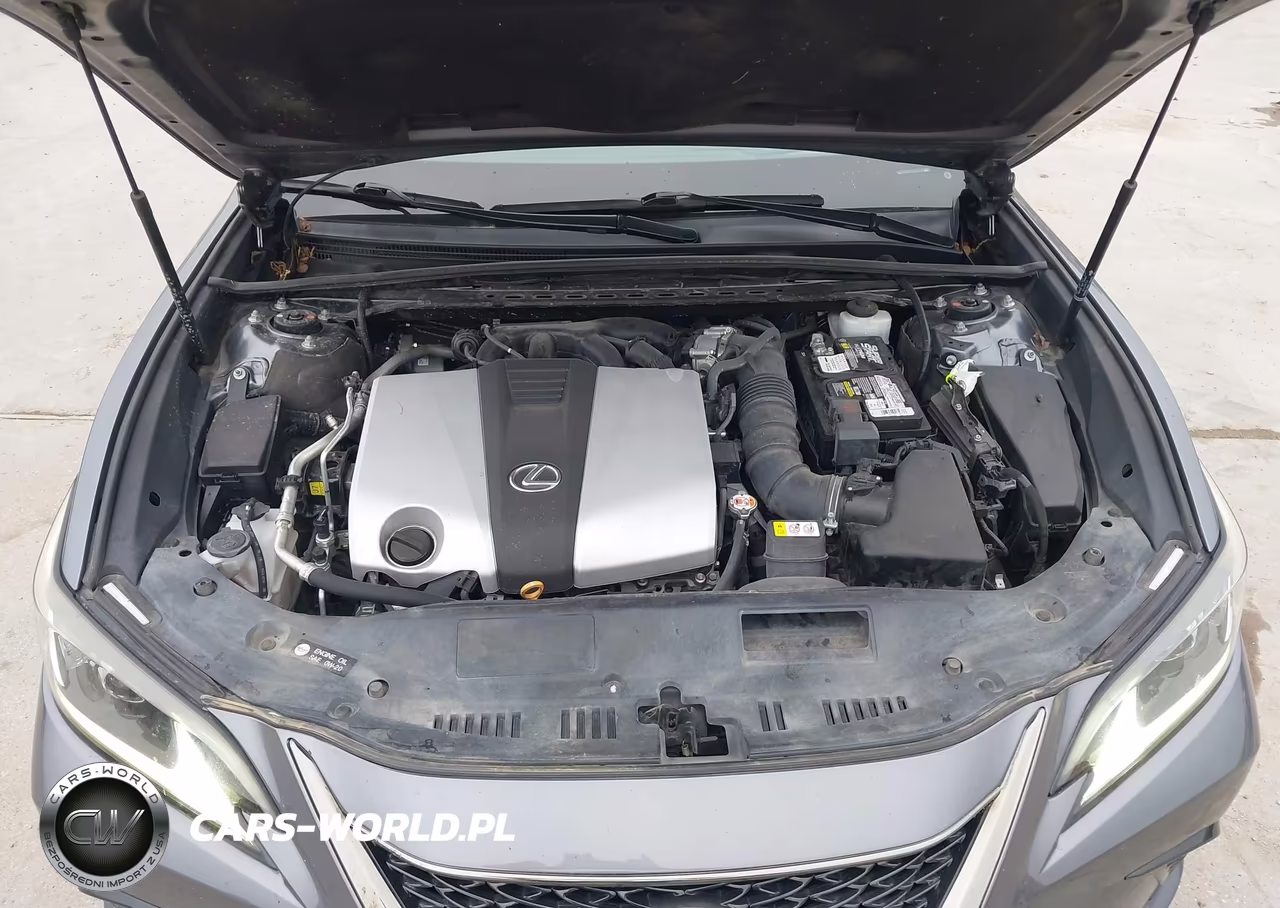 2019 Lexus Es 350 F Sport VIN:58ABZ1B10KU042940 - 10