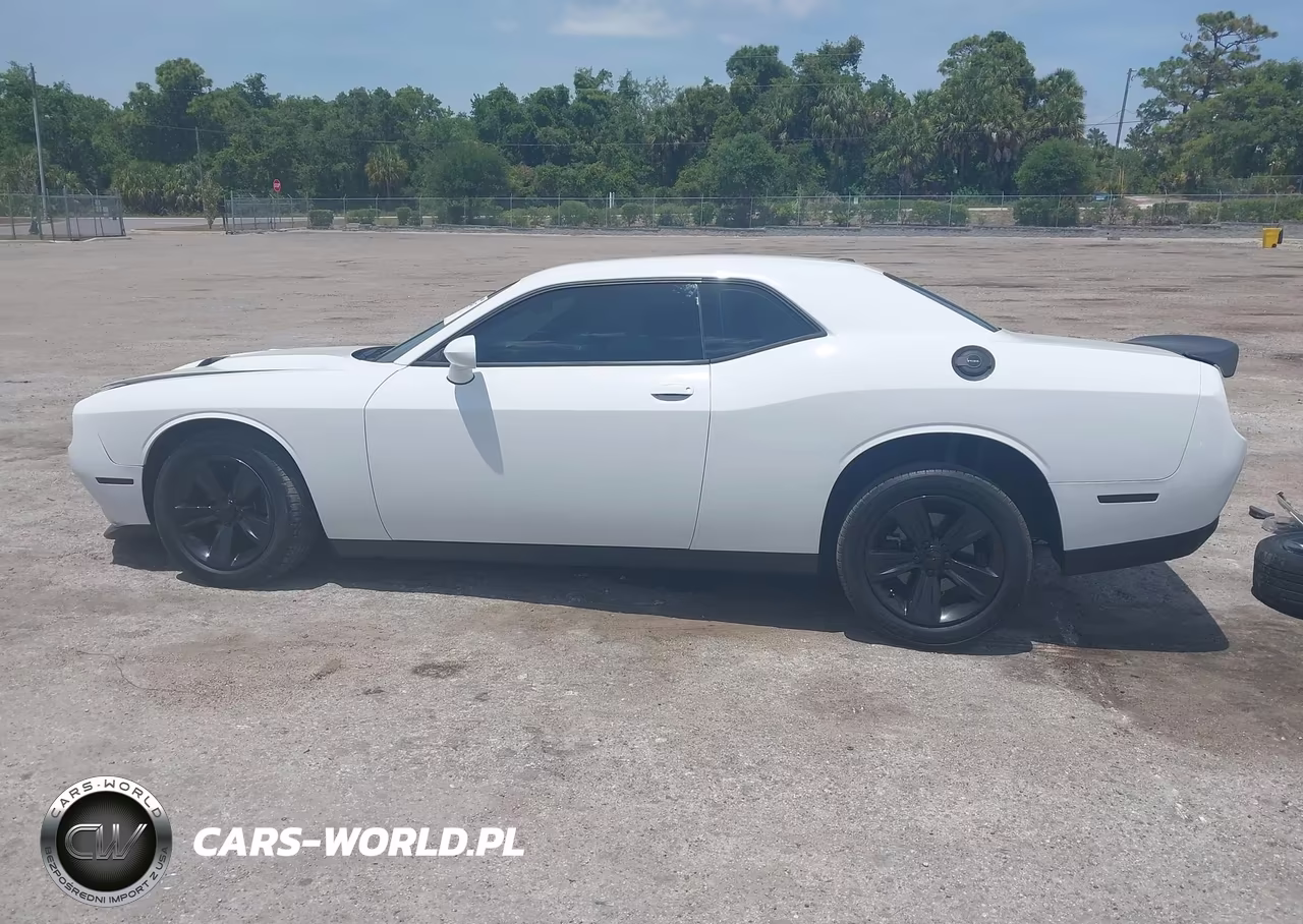 2019 Dodge Challenger Sxt VIN:2C3CDZAGXKH560905 - 15