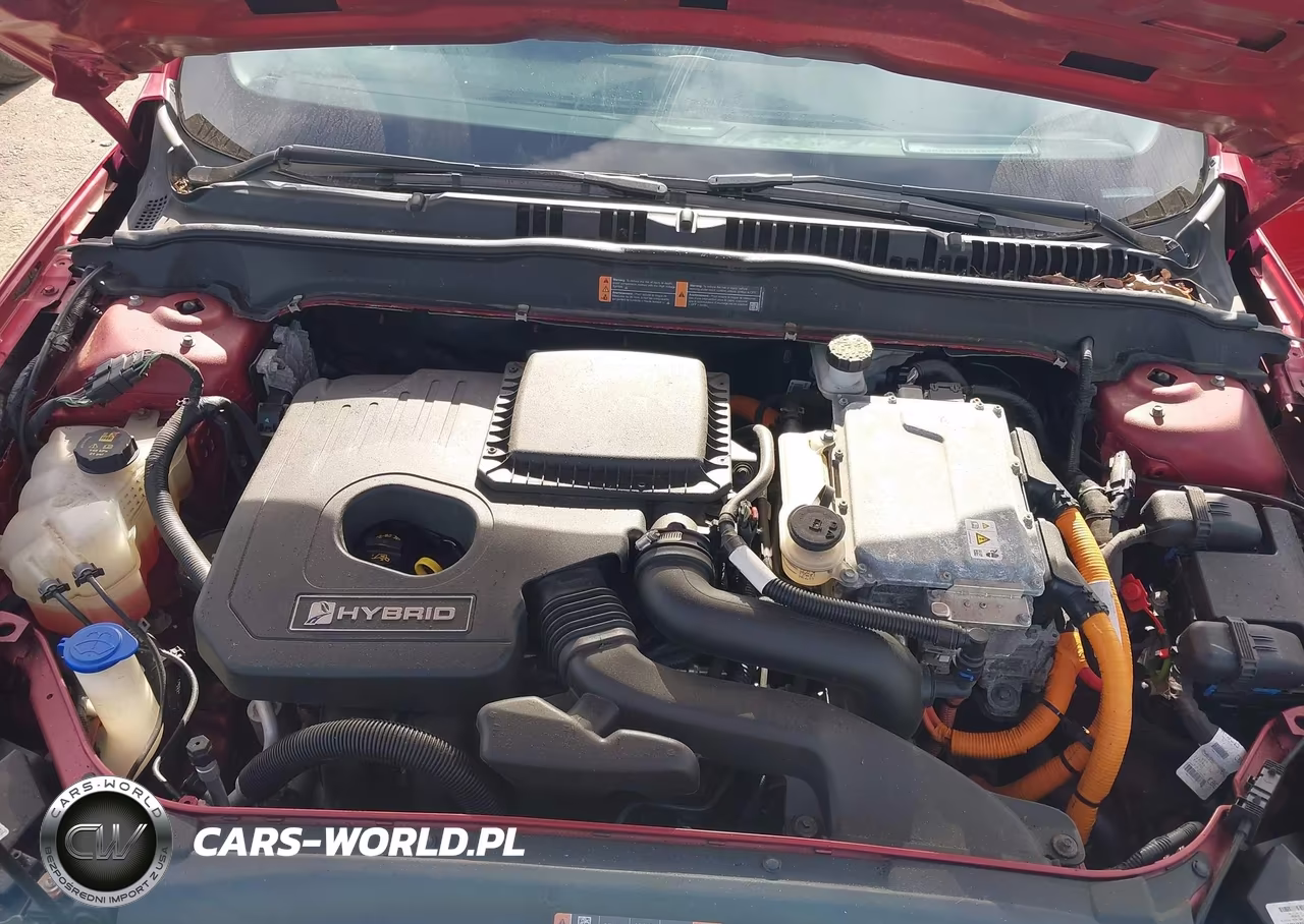 2020 Ford Fusion Hybrid Titanium VIN:3FA6P0RU5LR100293 - 10
