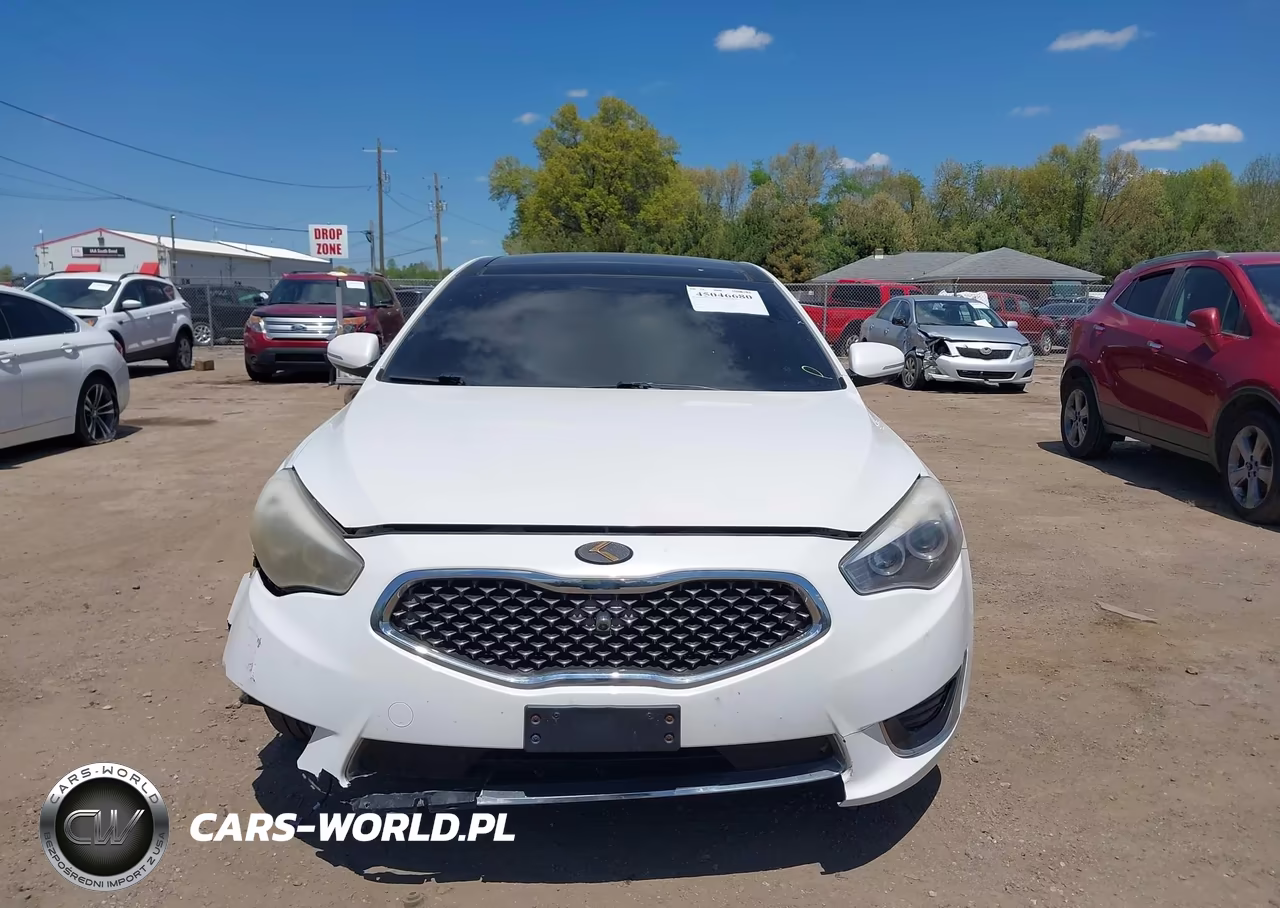 2015 Kia Cadenza Limited VIN:KNALN4D76F5182986 - 13