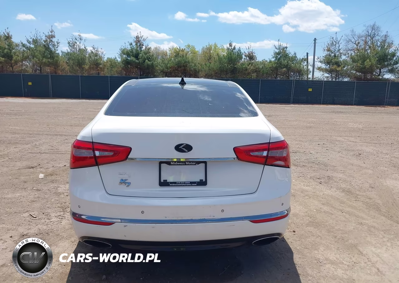 2015 Kia Cadenza Limited VIN:KNALN4D76F5182986 - 17