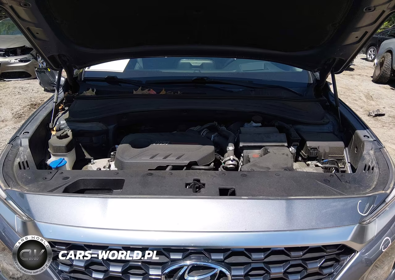 2019 Hyundai Santa Fe Ultimate 2.0T VIN:5NMS5CAA6KH107611 - 10