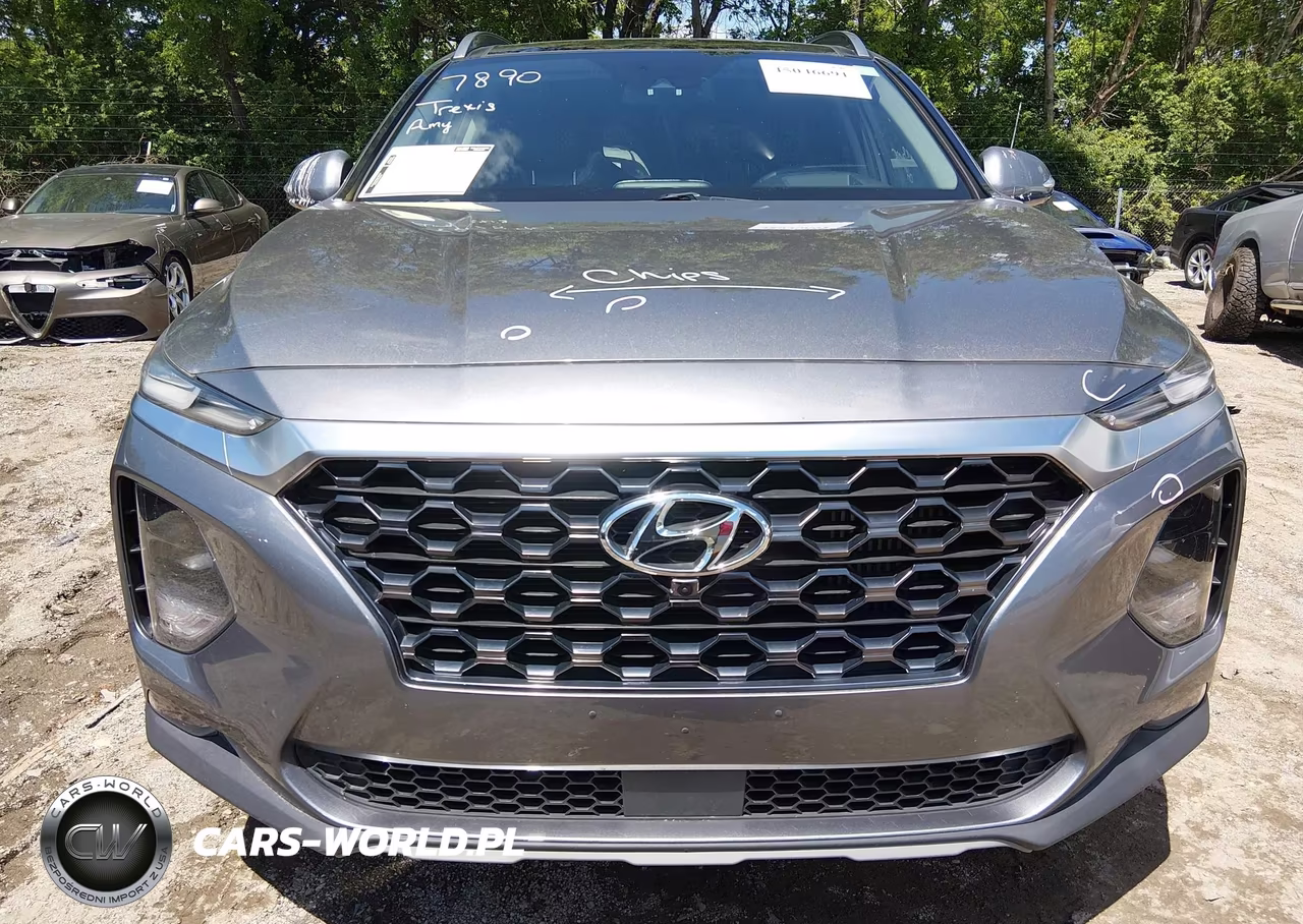 2019 Hyundai Santa Fe Ultimate 2.0T VIN:5NMS5CAA6KH107611 - 13