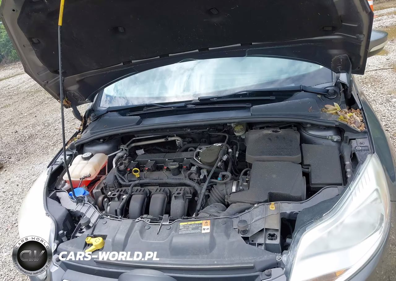 2013 Ford Focus Se VIN:1FADP3F2XDL246734 - 10