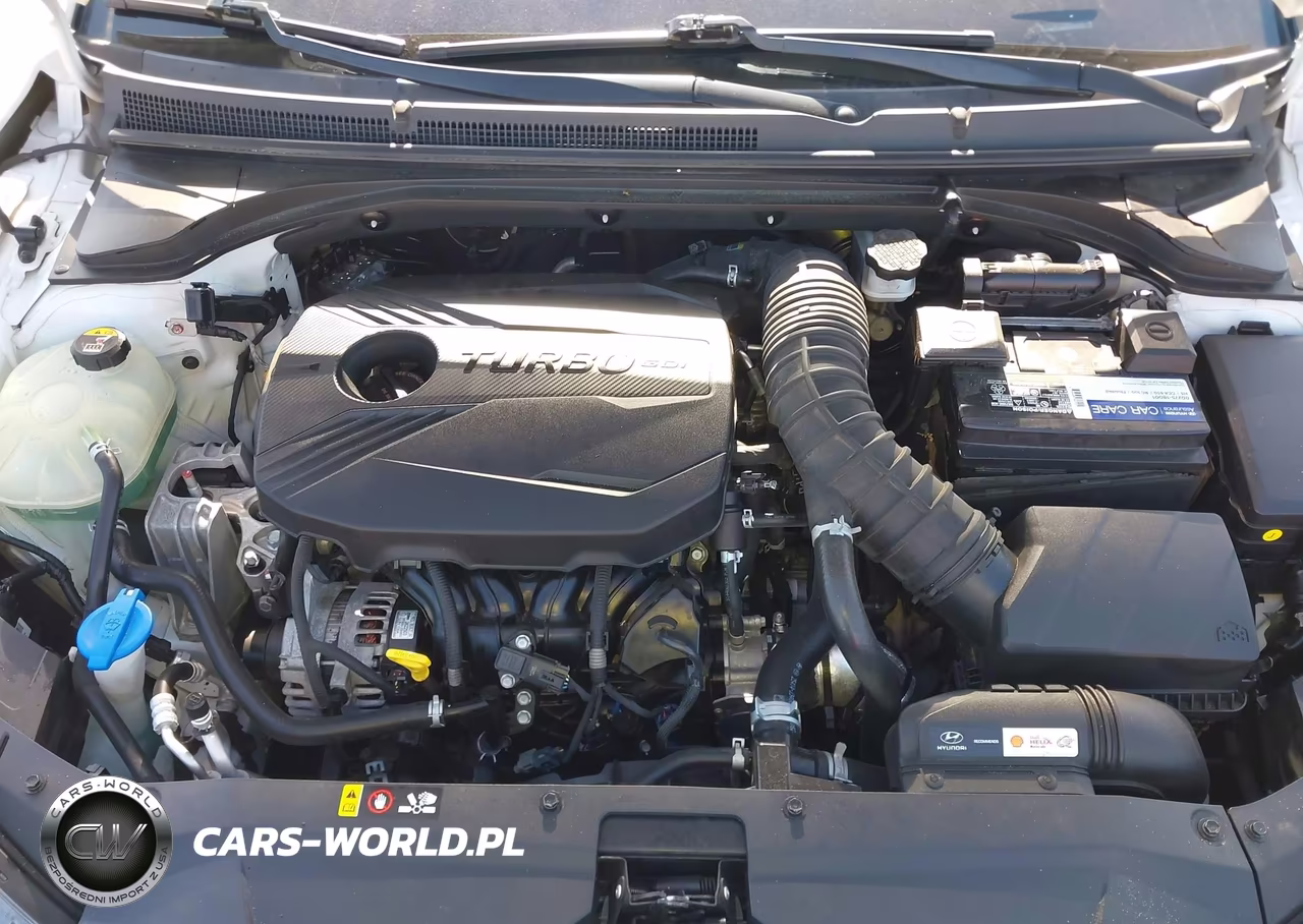 2019 Hyundai Veloster Turbo Ultimate VIN:KMHTH6ABXKU013306 - 10