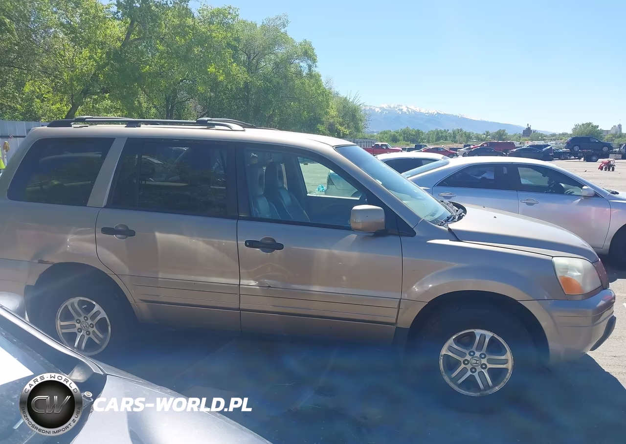 2004 Honda Pilot Ex-L VIN:2HKYF18554H540072 - 13