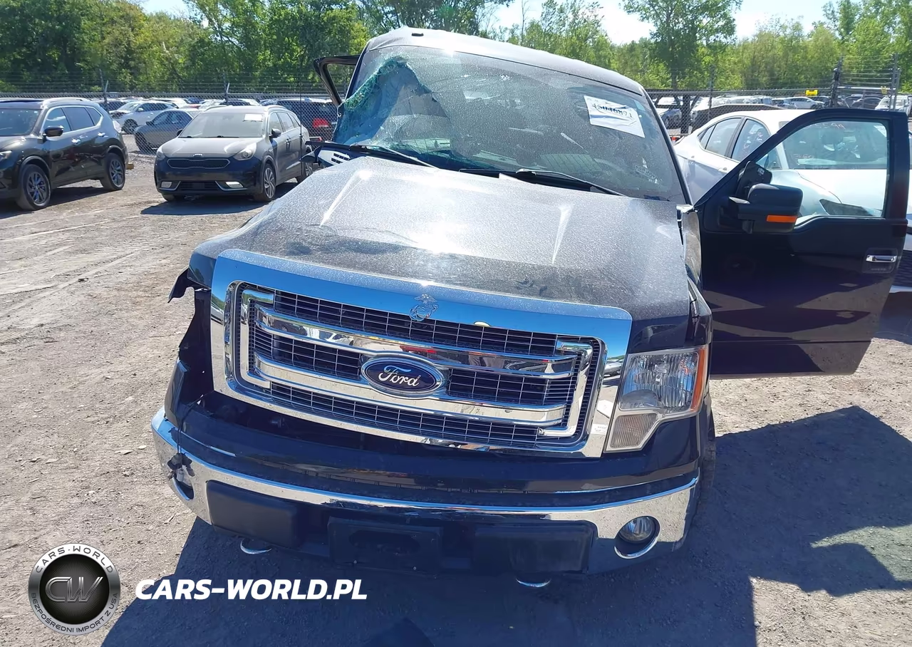 2014 Ford F-150 Xlt VIN:1FTFW1EF3EFC20149 - 12