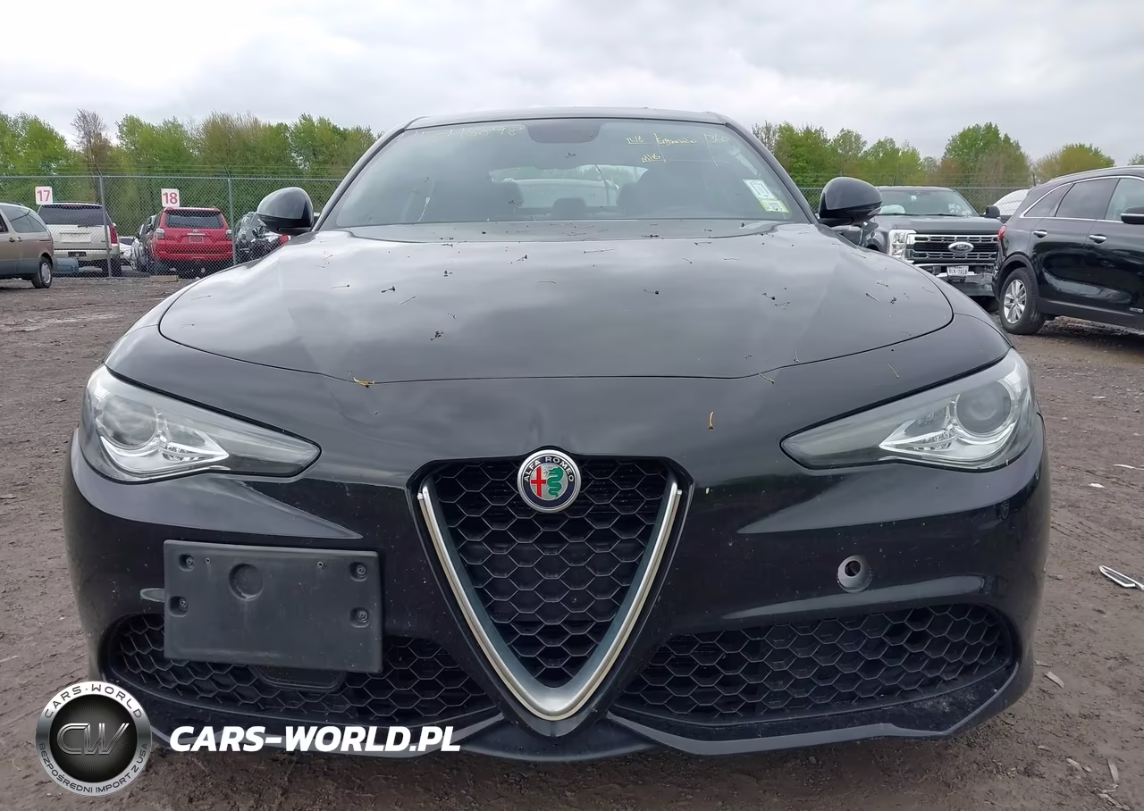 2018 Alfa Romeo Giulia Awd VIN:ZARFAEDN5J7564655 - 12
