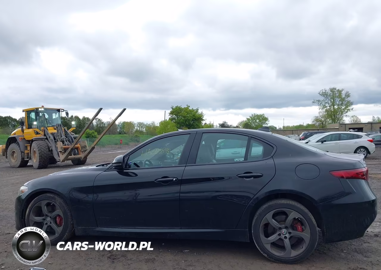 2018 Alfa Romeo Giulia Awd VIN:ZARFAEDN5J7564655 - 14