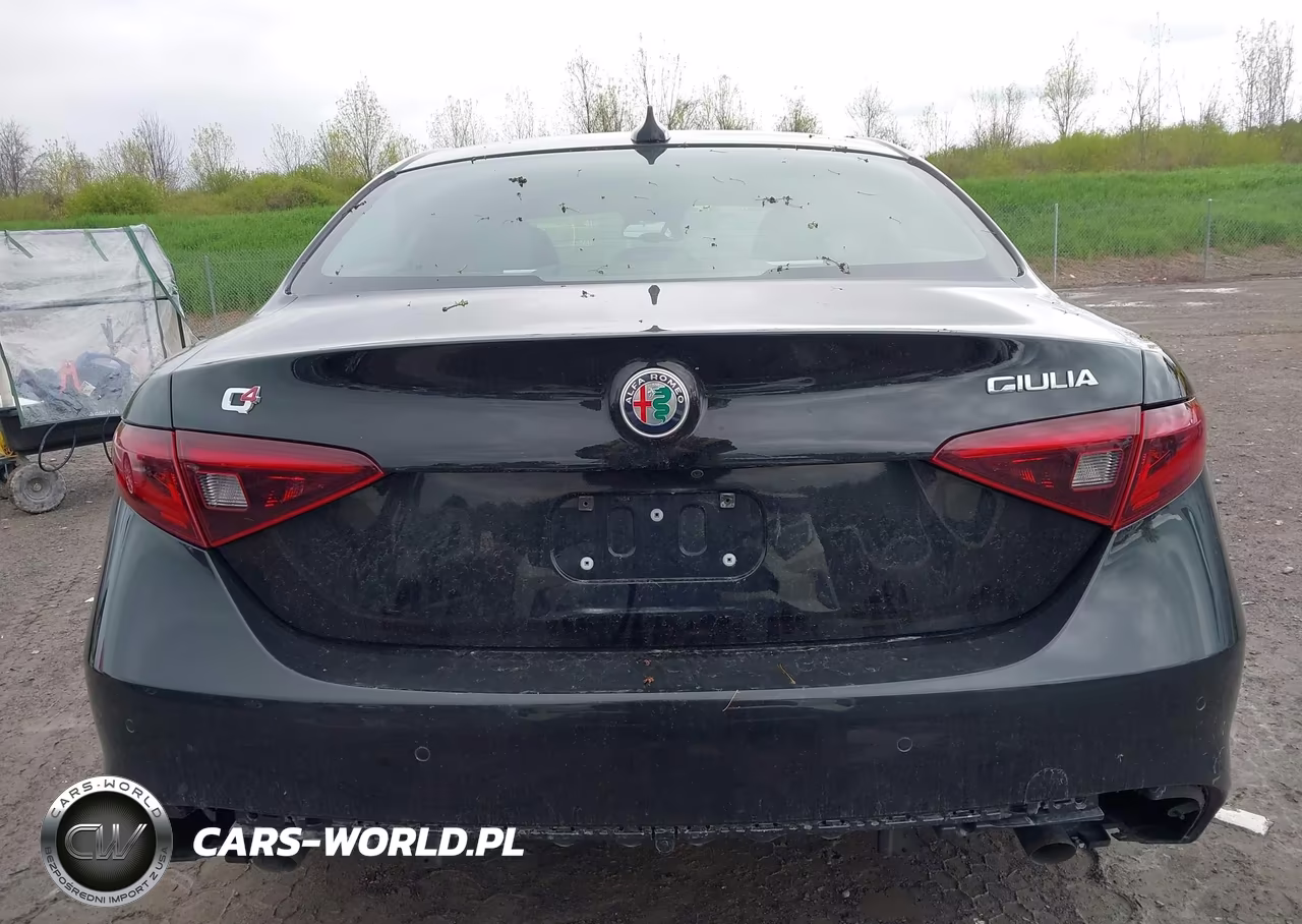 2018 Alfa Romeo Giulia Awd VIN:ZARFAEDN5J7564655 - 16