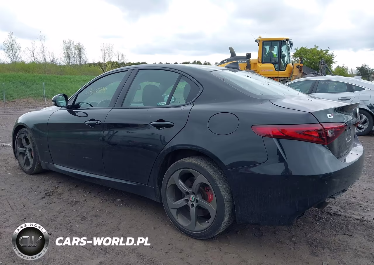 2018 Alfa Romeo Giulia Awd VIN:ZARFAEDN5J7564655 - 3
