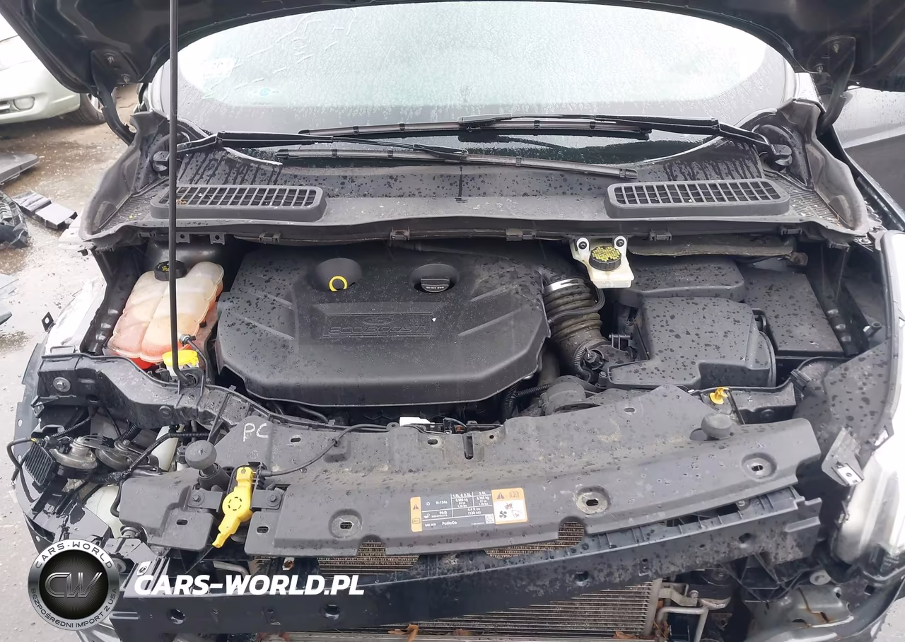 2015 Ford Escape Se VIN:1FMCU9G96FUB76879 - 10