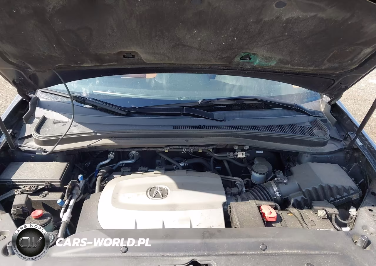 2010 Acura Mdx Advance Package VIN:2HNYD2H55AH532659 - 10