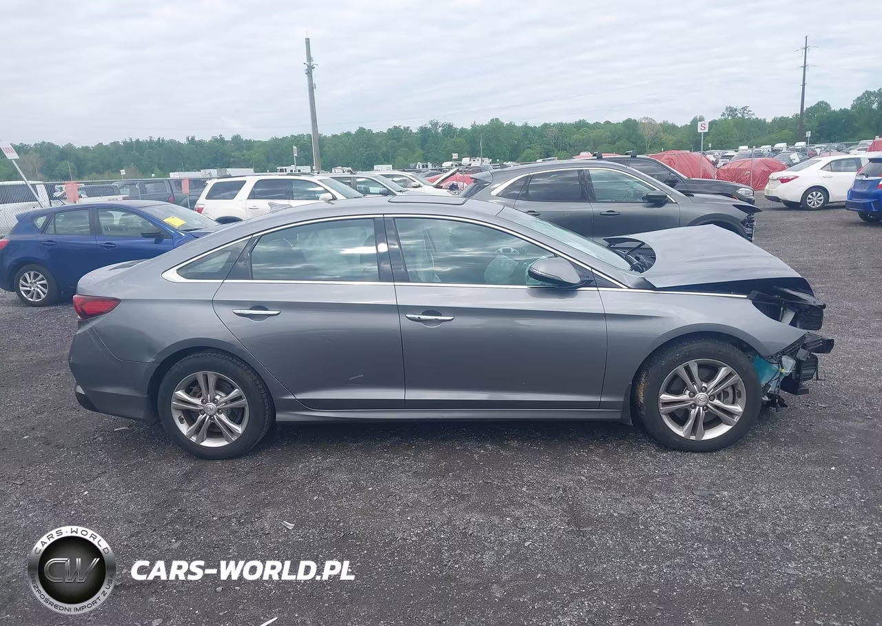 2019 Hyundai Sonata Limited VIN:5NPE34AF2KH731445 - 13
