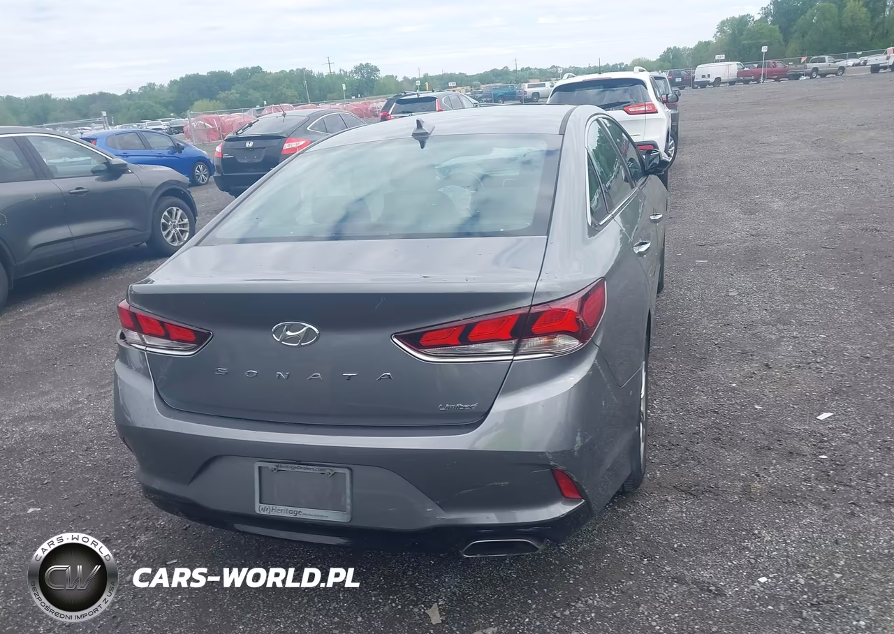 2019 Hyundai Sonata Limited VIN:5NPE34AF2KH731445 - 16