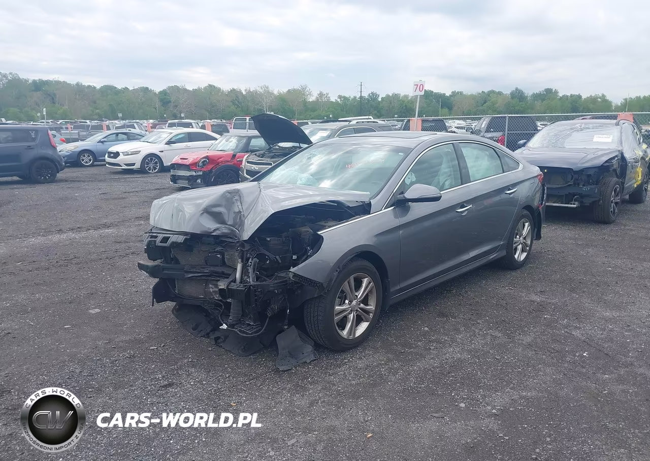 2019 Hyundai Sonata Limited VIN:5NPE34AF2KH731445 - 2
