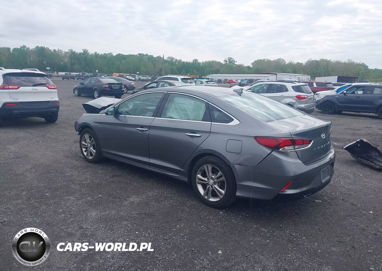 2019 Hyundai Sonata Limited VIN:5NPE34AF2KH731445 - 3