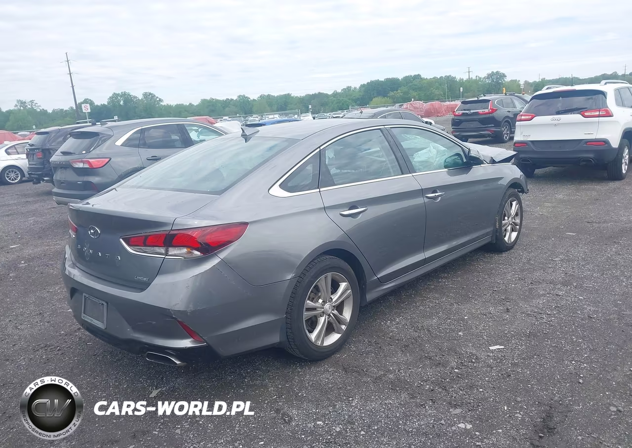 2019 Hyundai Sonata Limited VIN:5NPE34AF2KH731445 - 4