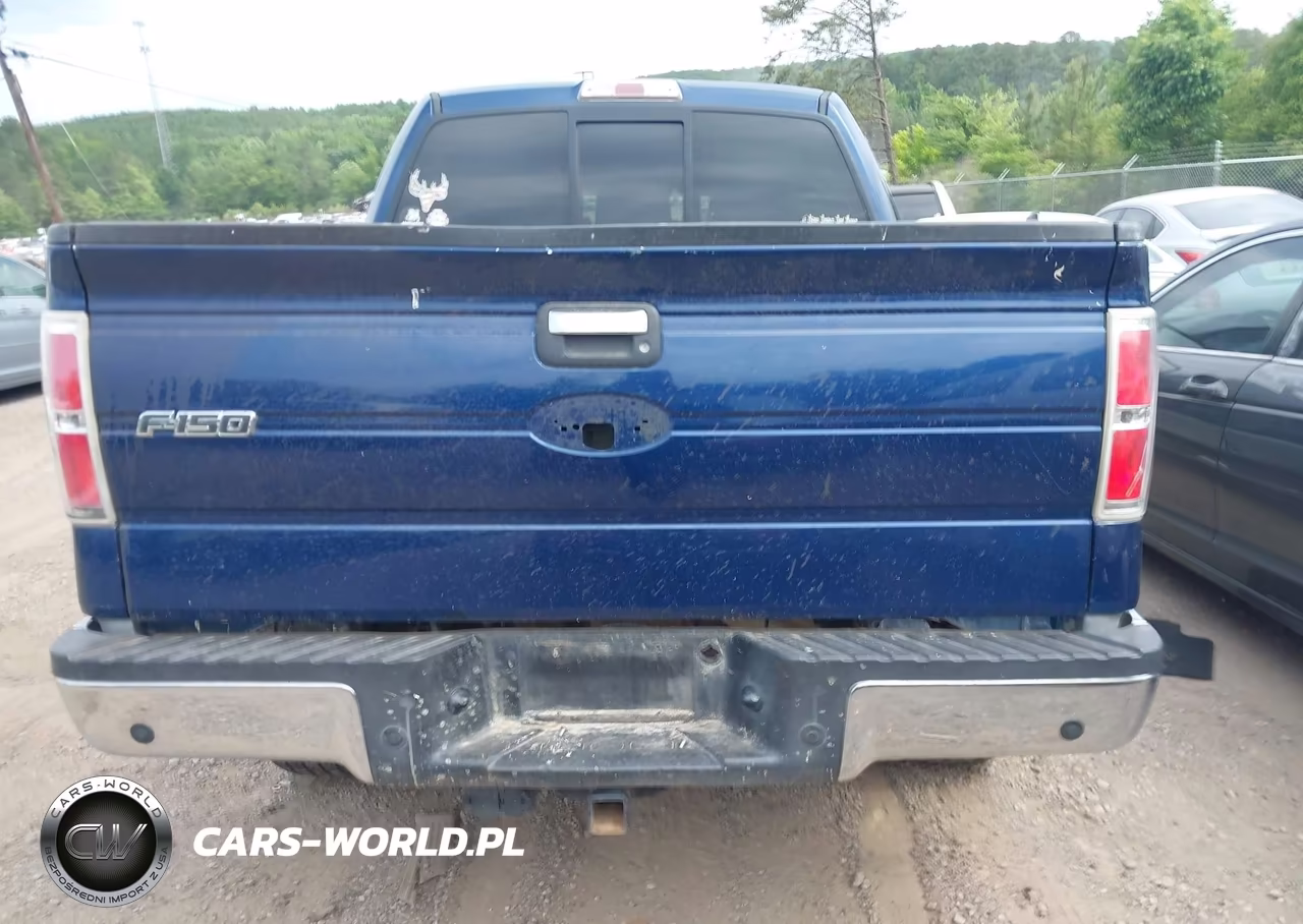 2011 Ford F-150 Xlt VIN:1FTFW1ET2BFB00814 - 16