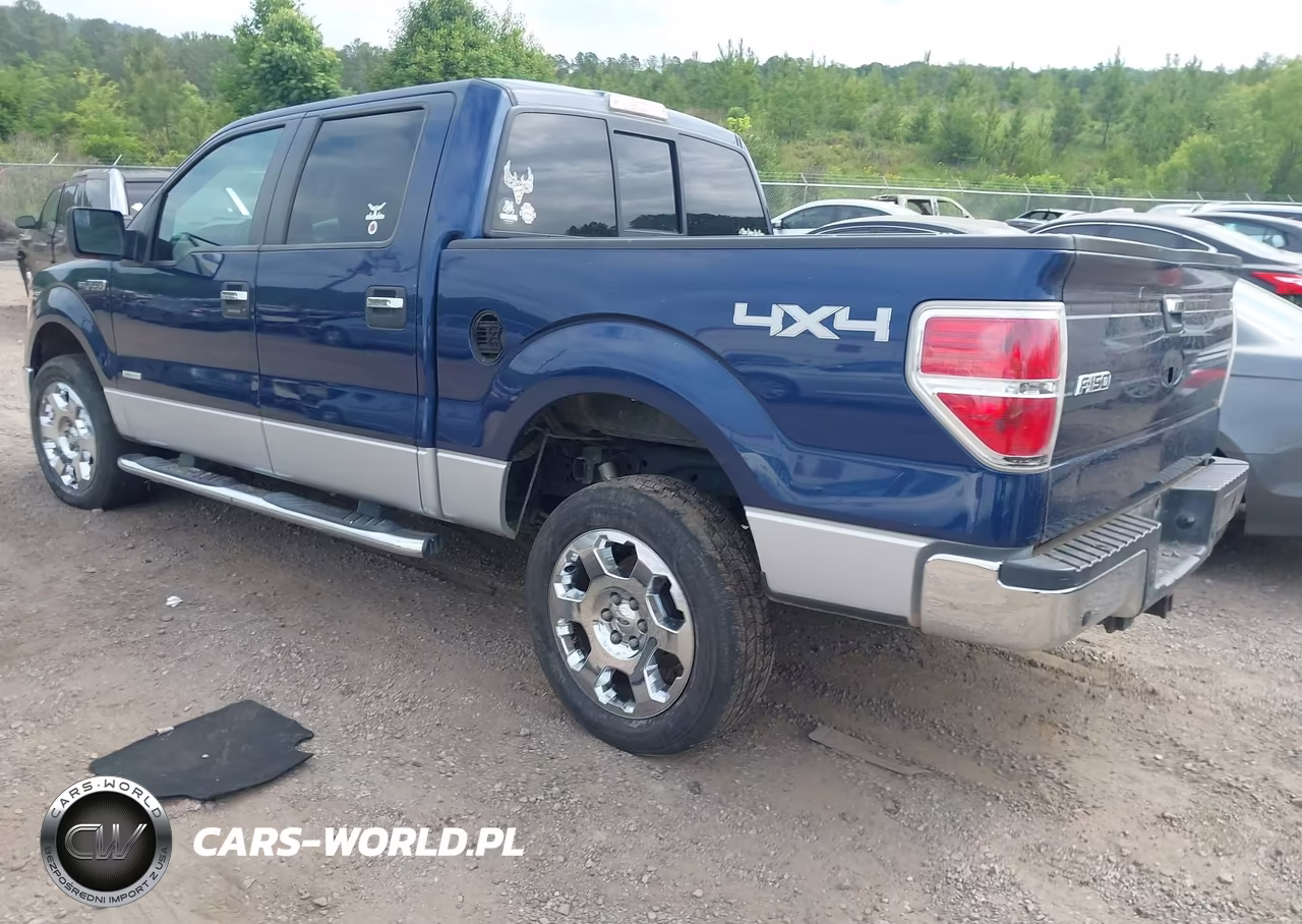 2011 Ford F-150 Xlt VIN:1FTFW1ET2BFB00814 - 3
