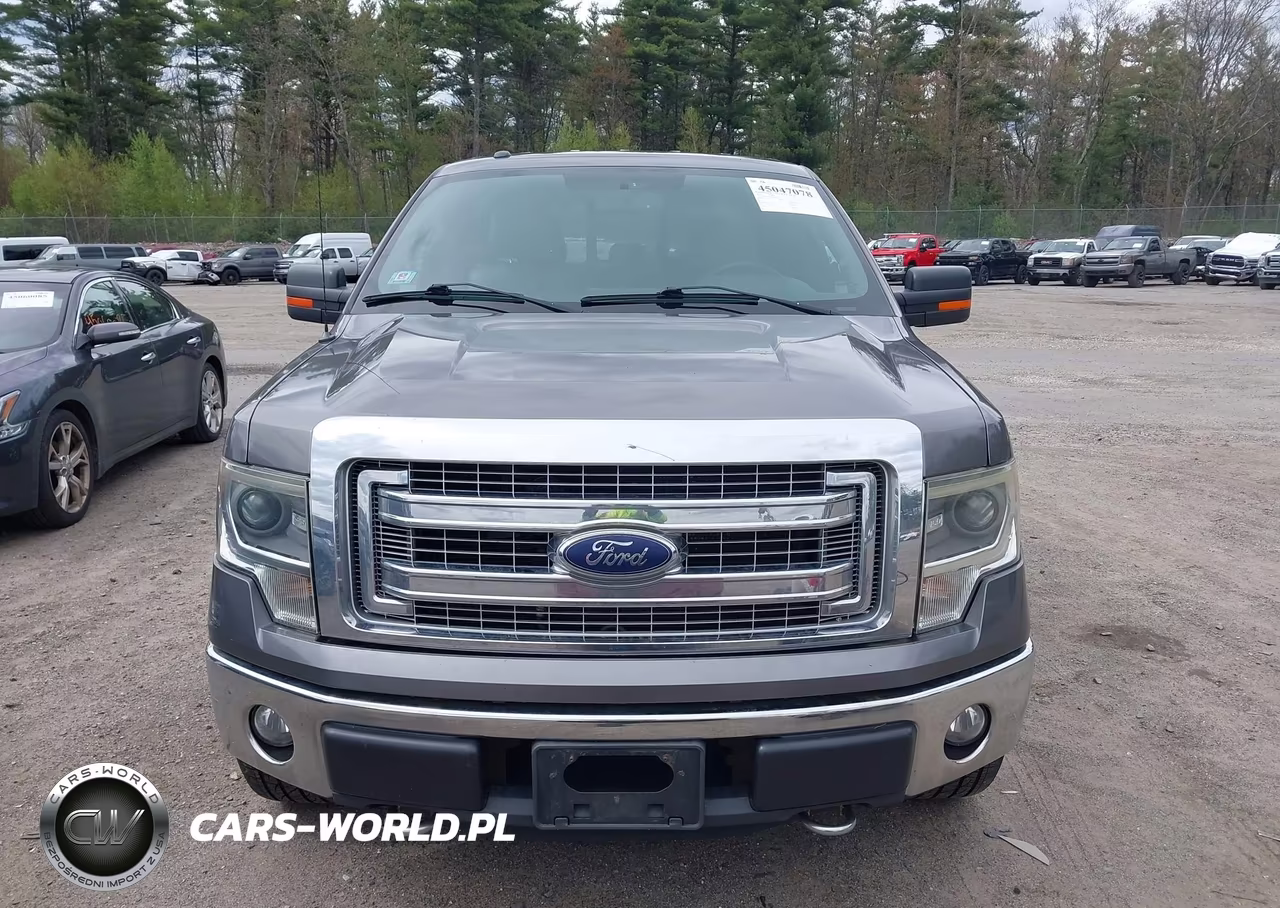 2014 Ford F-150 Xlt VIN:1FTFW1EF2EFC58780 - 12