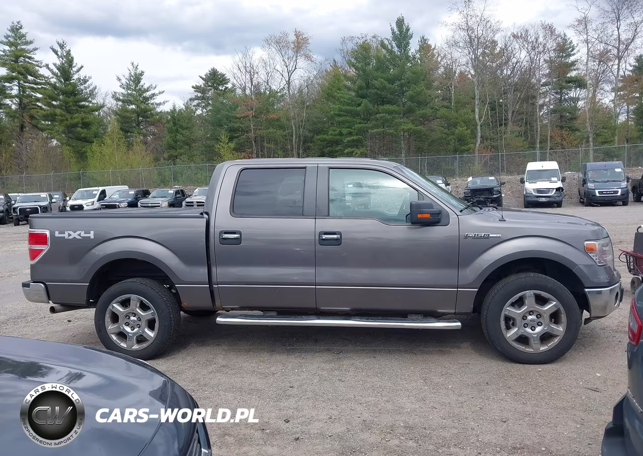 2014 Ford F-150 Xlt VIN:1FTFW1EF2EFC58780 - 13