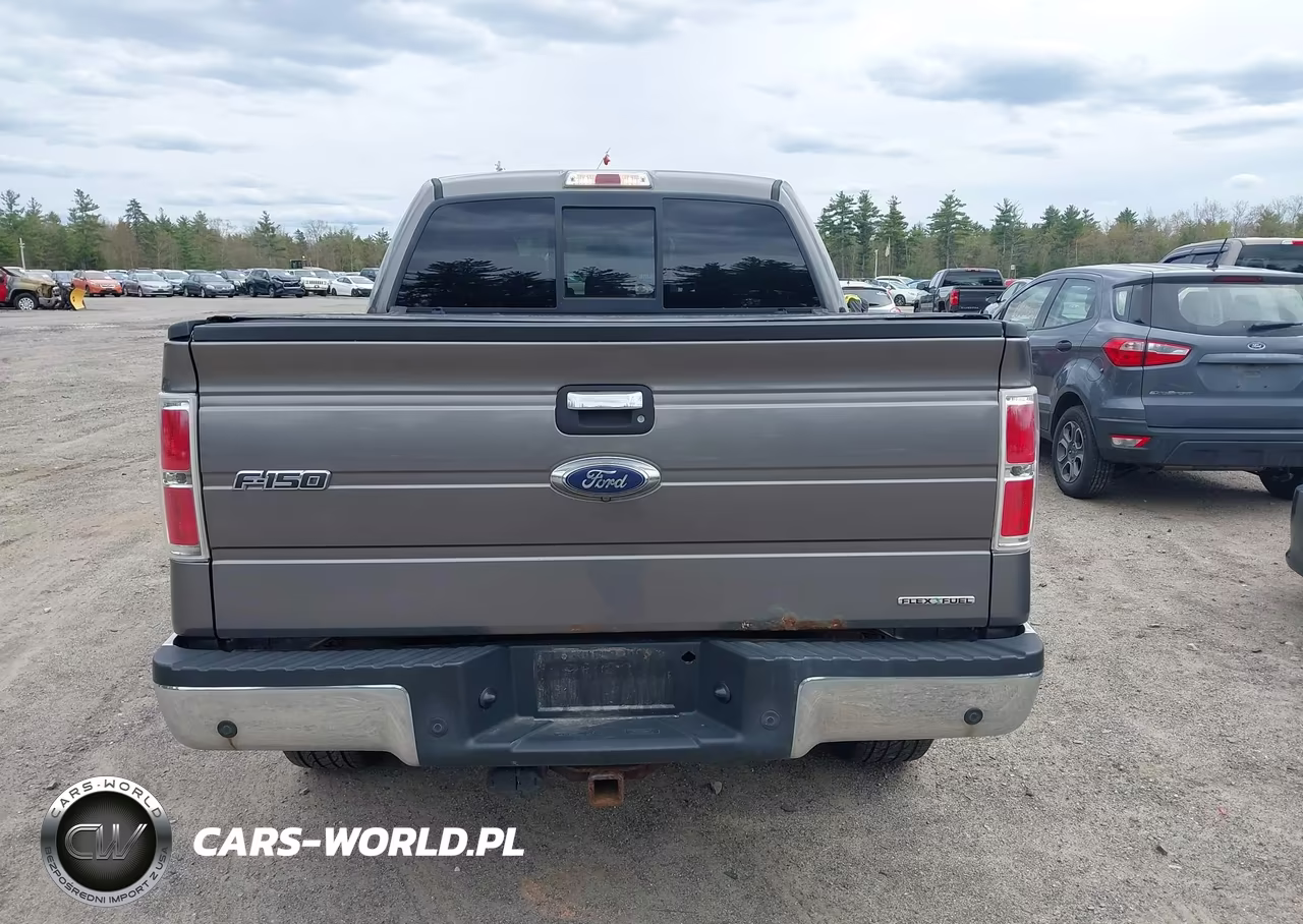 2014 Ford F-150 Xlt VIN:1FTFW1EF2EFC58780 - 16