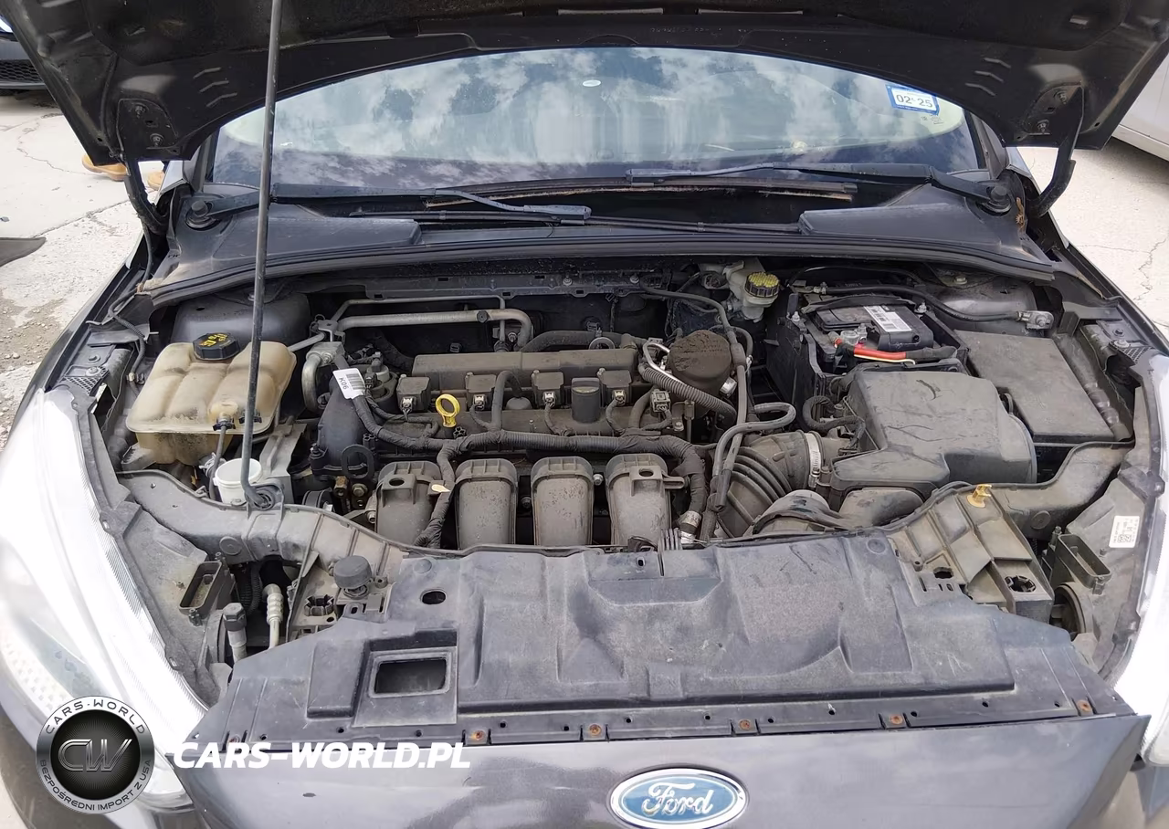 2016 Ford Focus Se VIN:1FADP3F24GL208727 - 10