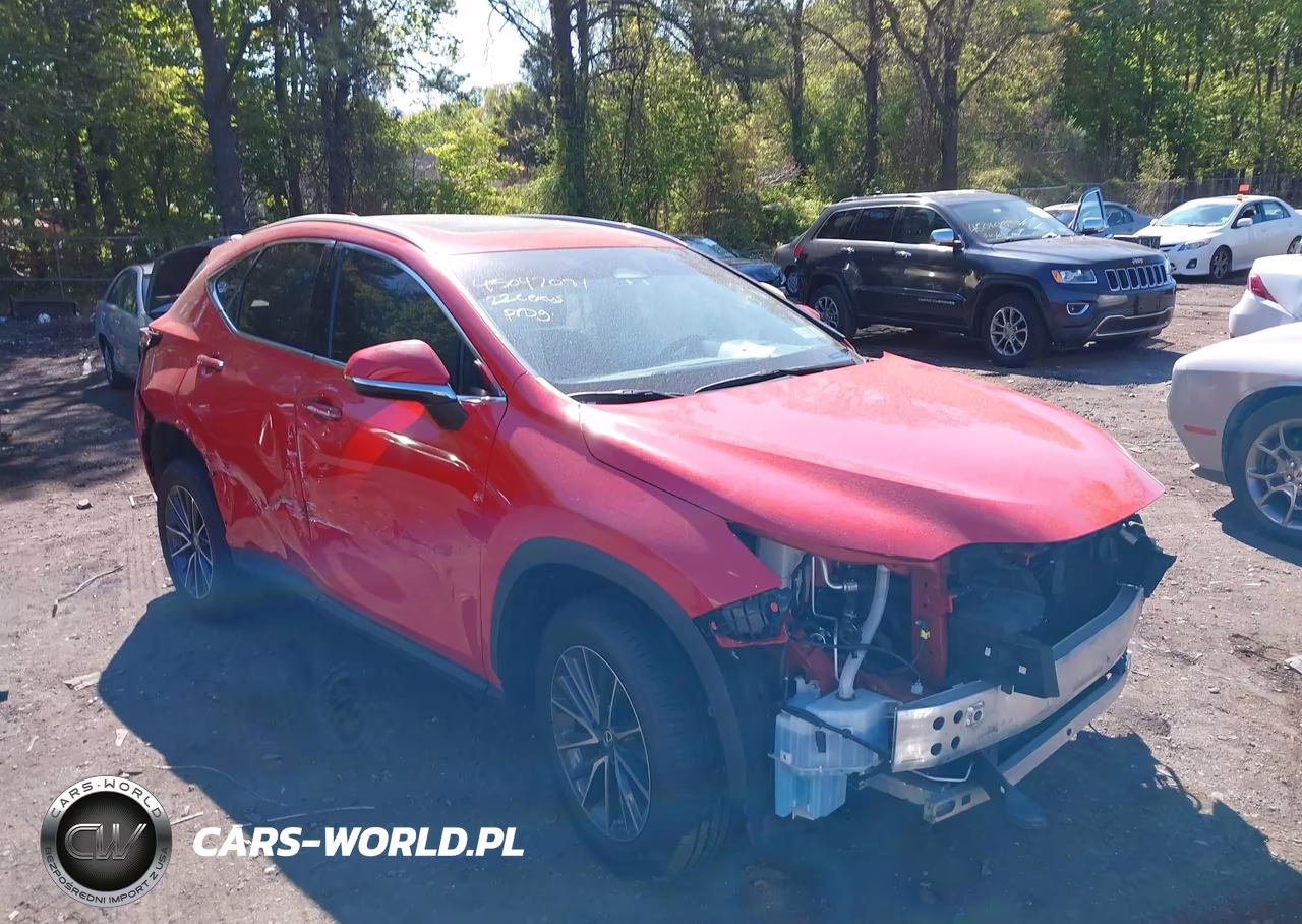 2022 Lexus Nx 350 VIN:2T2AGCEZXNC002047 - 13